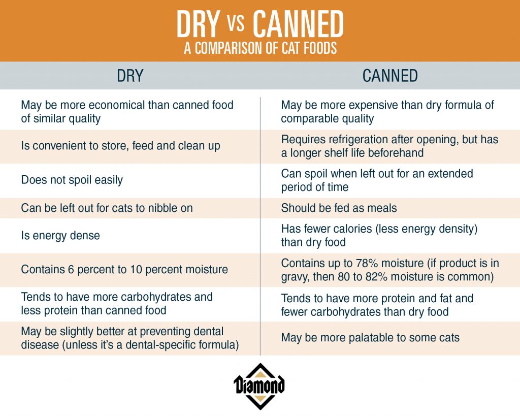 dry vs canned cat food pros and cons