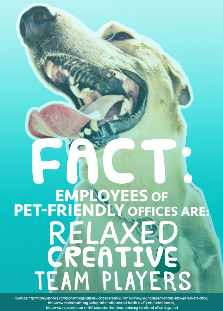 An interior graphic with text that reads, 'Fact: employees of pet-friendly offices are: relaxed, creative, team players'.