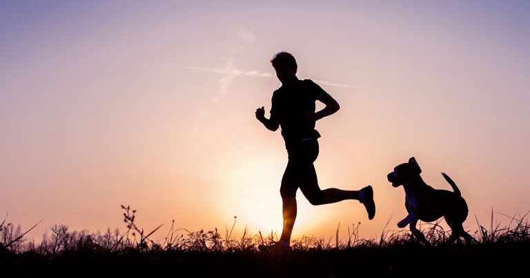 A silhouette of a man jogging with a dog outside in the evening.