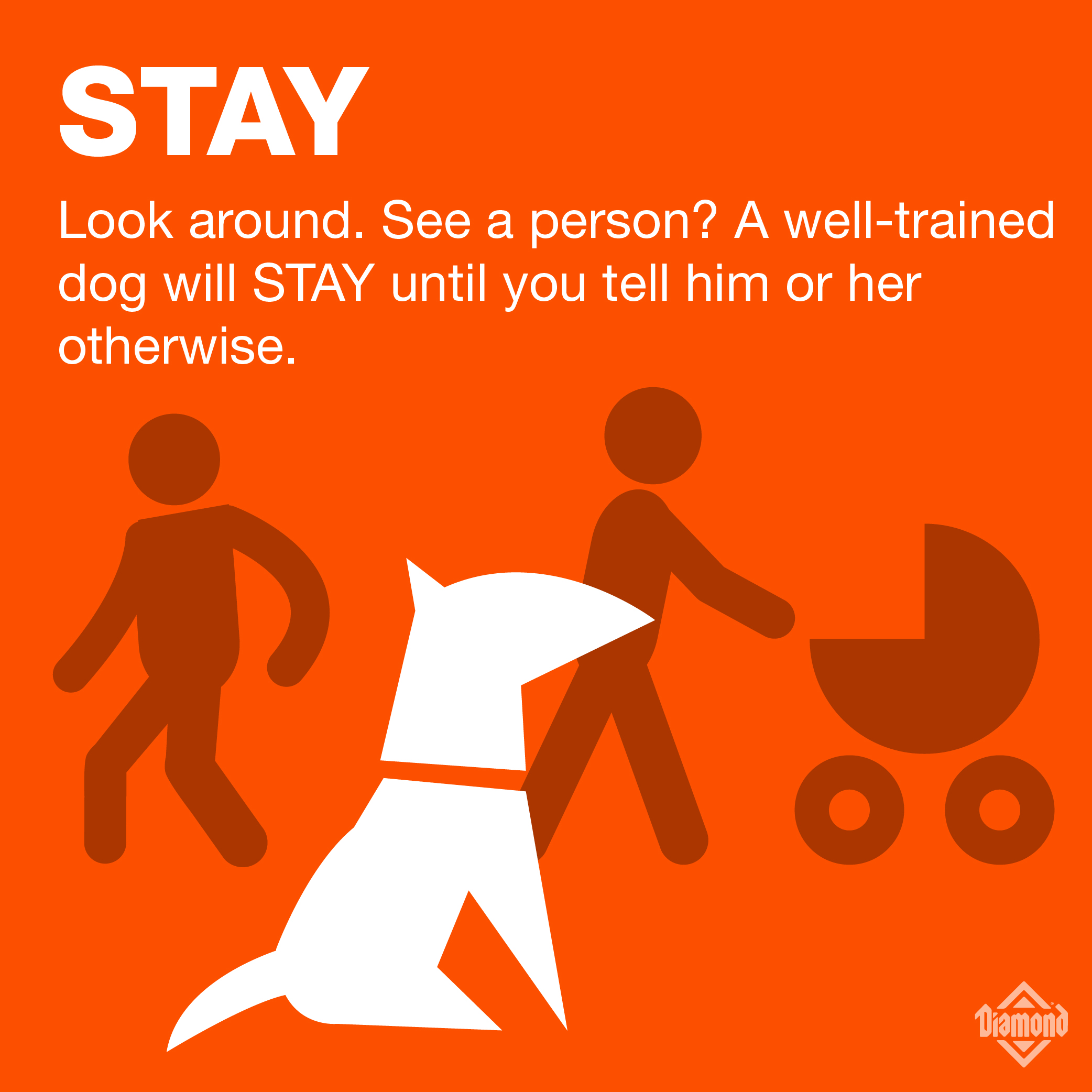 Stay: Look around. See a person? A well-trained dog will STAY until you tell him or her otherwise. | A graphic of a dog sitting in the middle of a crowd | Diamond Pet Food
