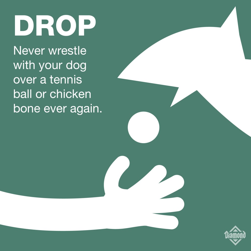 Drop: Never wrestle with your dog over a tennis ball or chicken bone ever again. | A graphic of a person holding out their hand catching a ball being dropped from a dog's mouth. | Diamond Pet Food