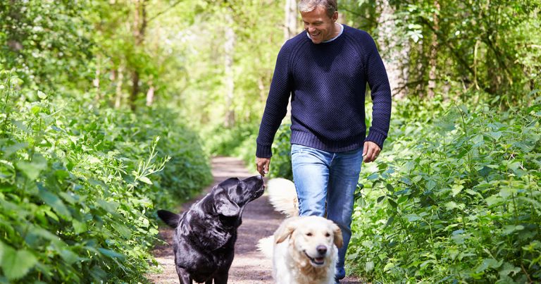 A man walking down a path in a park with his two dogs.