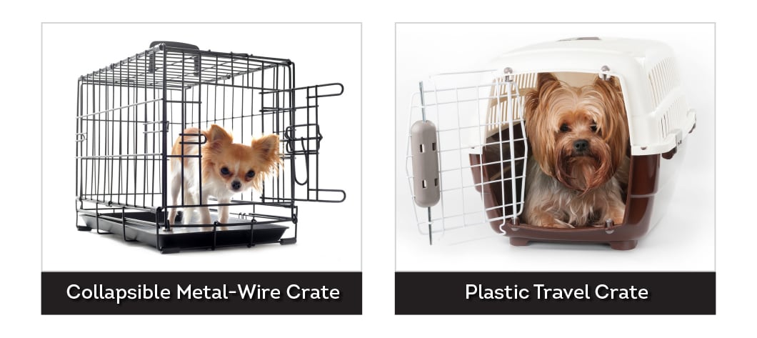 Types of Crates for Dog Training | Diamond Pet Foods