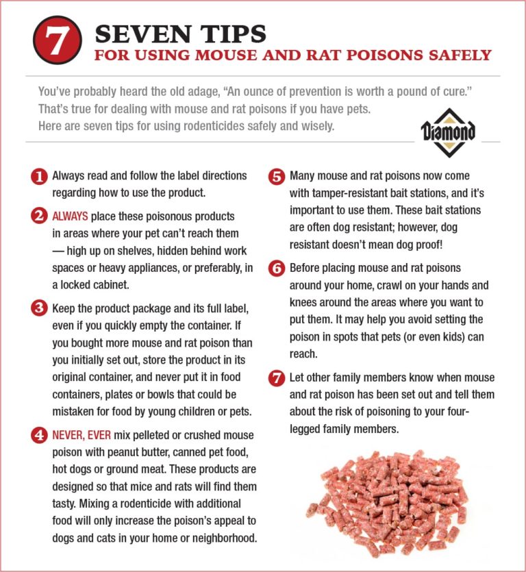 Learn About Mouse Poison and Keeping Your Pets Safe Diamond Pet Foods