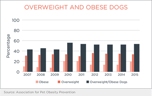 Overweight and Obese Dog Percentage Chart | Diamond Pet Foods