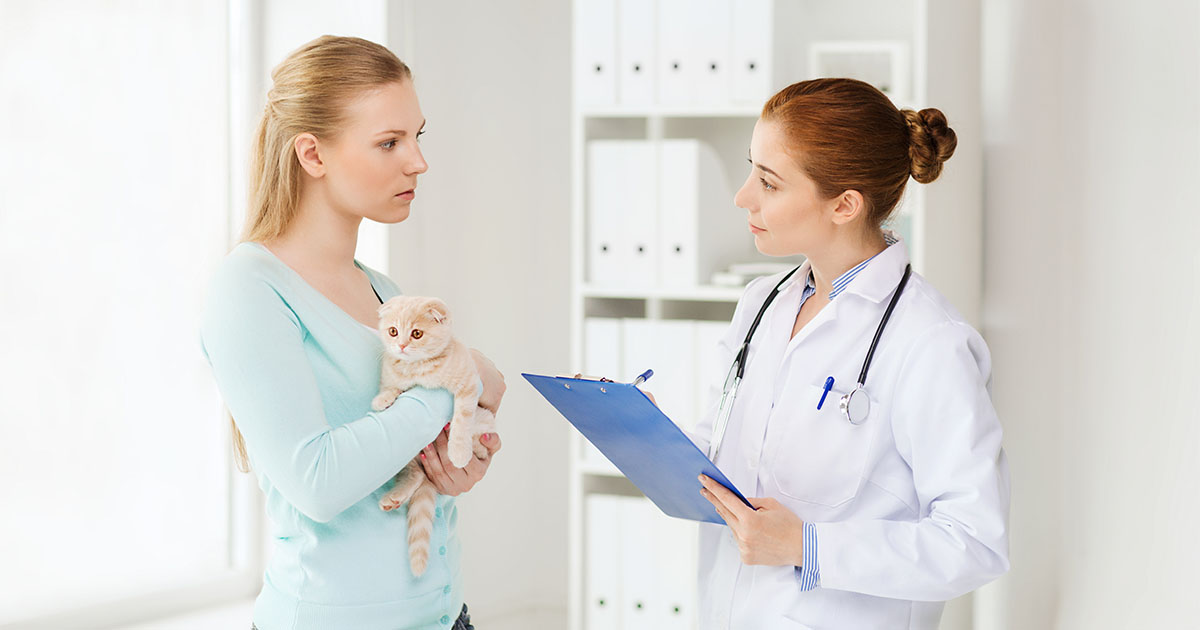 A woman holding a small cat while talking to a veterinarian.
