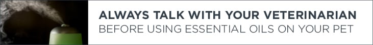 Always Talk to Your Veterinarian Label | Diamond Pet Foods