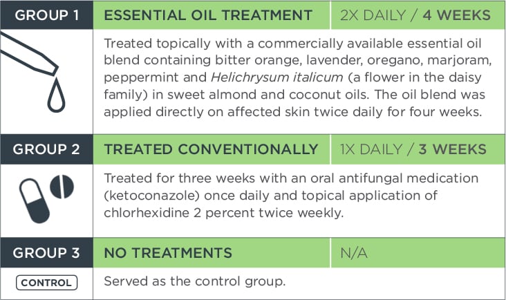 Essential Oil Study Chart | Diamond Pet Foods