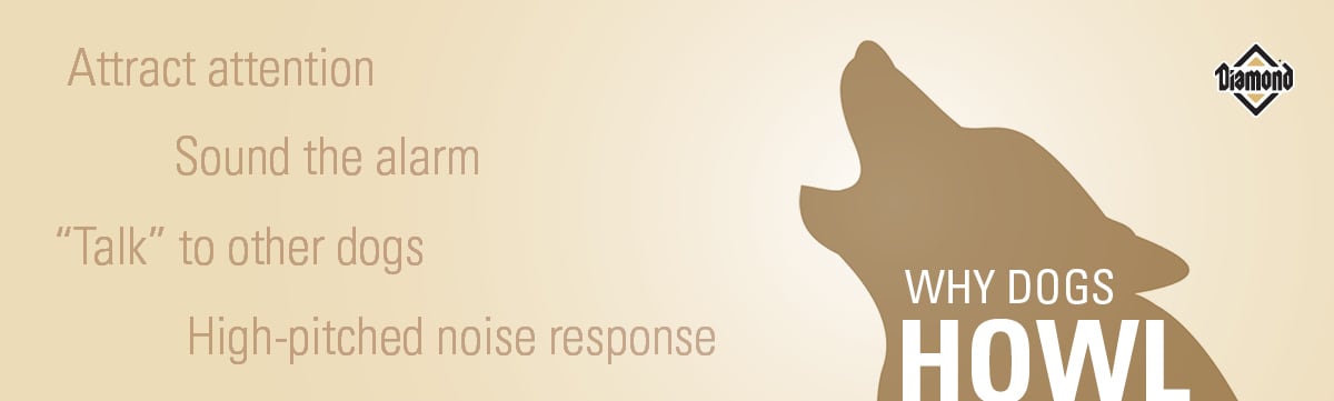 Dog Howling Explanation Chart | Diamond Pet Foods