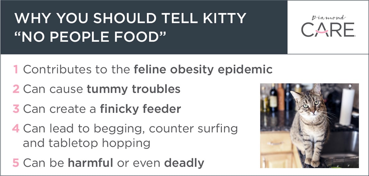 An interior graphic detailing five reasons why you should tell your cat 'no people food'.