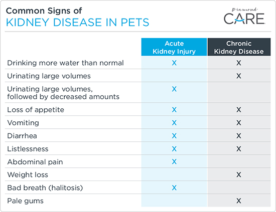 Common Signs of Kidney Disease in Pets Chart