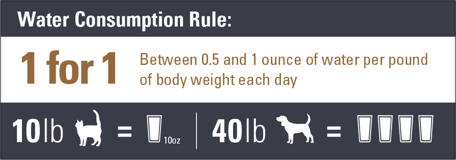 An interior graphic detailing the water consumption rule, 'Between 0.5 and 1 ounce of water per pound of body weight each day'.