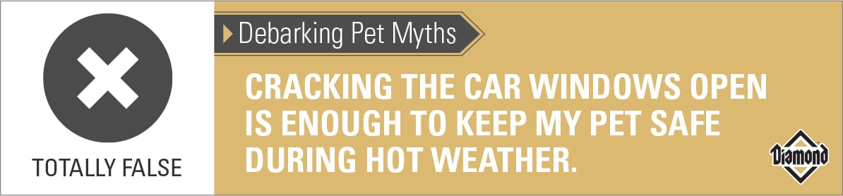 Debarking Cracking car window enough Totally False graphic