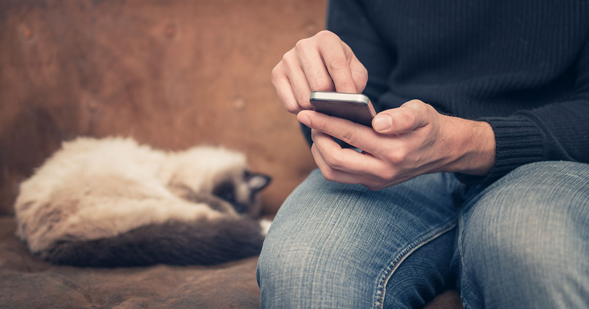 Owner on Phone Next to a Cat on a Couch | Diamond Pet Foods