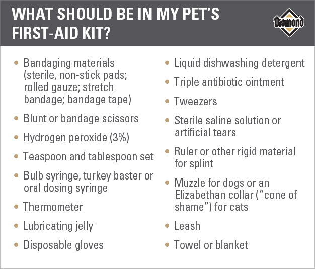 An interior graphic listing 16 different items that should be in your pet's first aid kit.