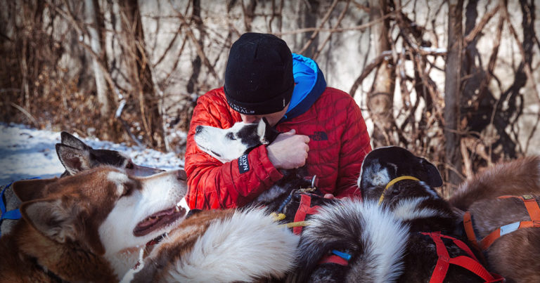 A man hugging a husky dog surrounded by a pack of huskies.