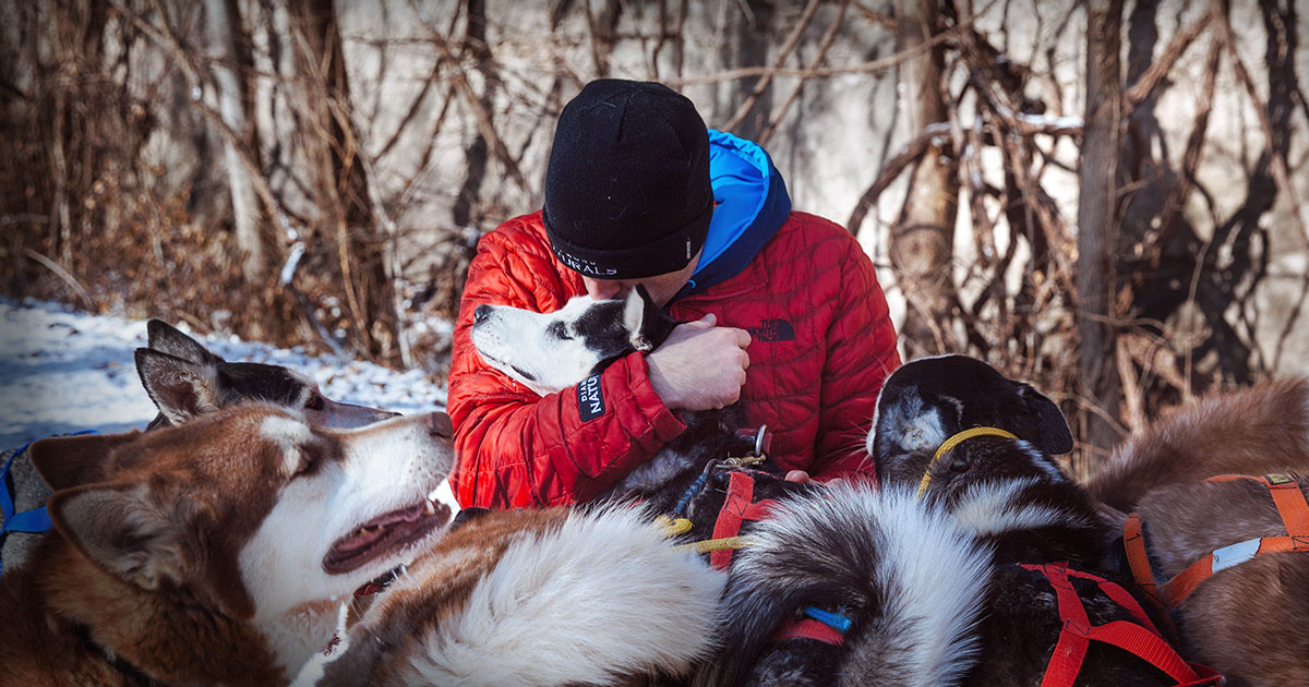 A man hugging a husky dog surrounded by a pack of huskies.