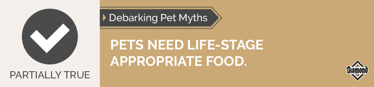 An interior graphic with text that reads, 'Debarking Pet Myths: Pets need life-stage appropriate food — Partially True'.
