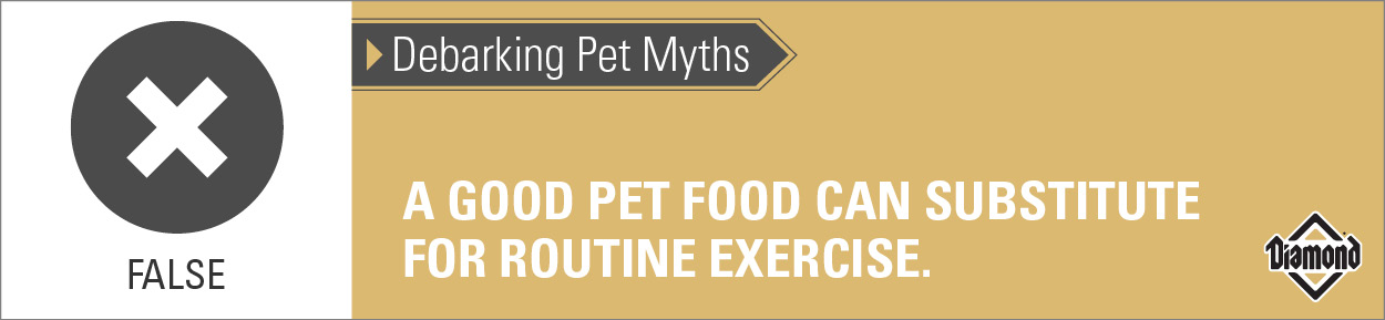 False: Good Pet Food Cannot Replace Routine Exercise | Diamond Pet Foods