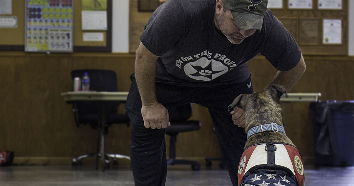 A man hunched over at the waist talking to a dog wearing a service vest.