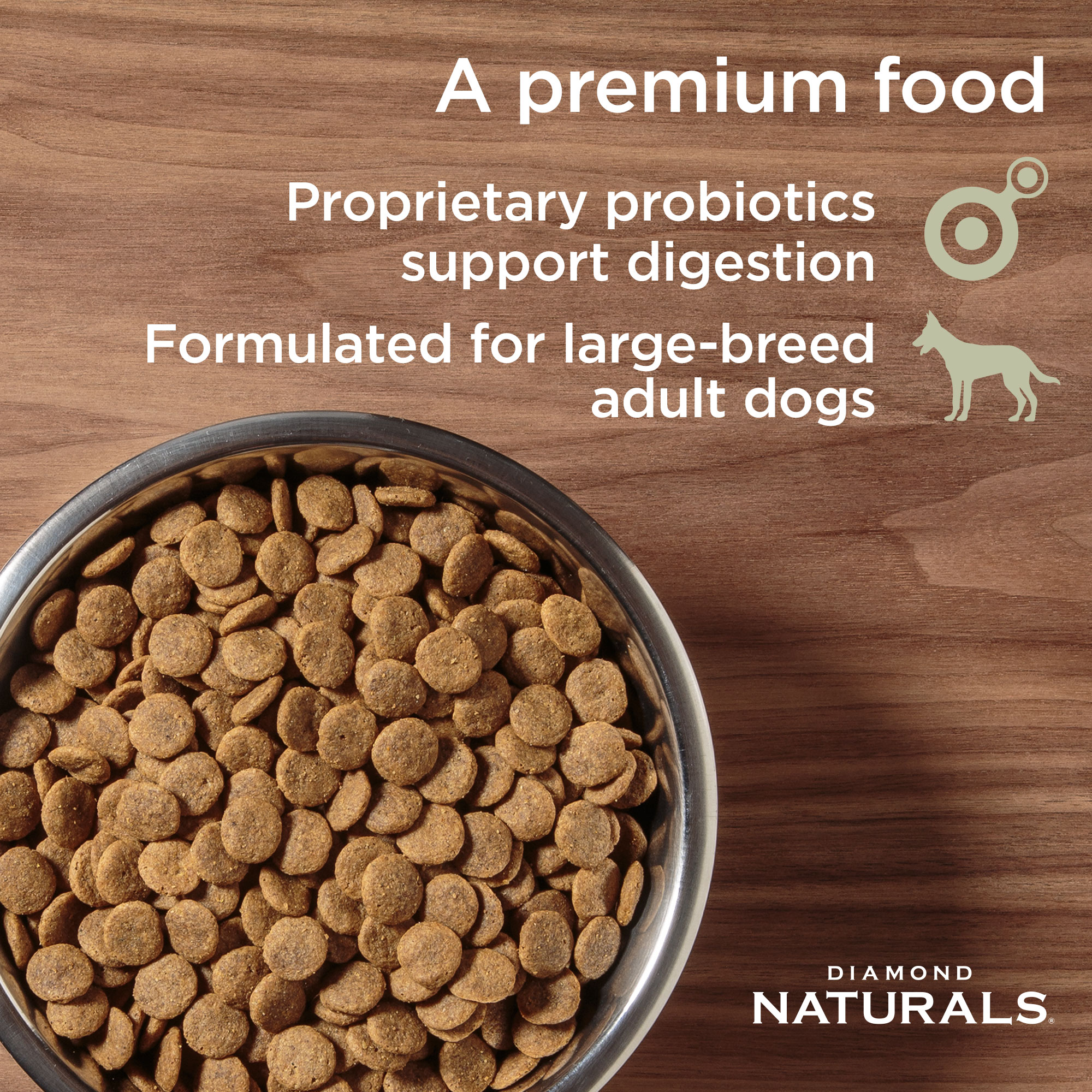 Large Breed Adult Dog Chicken Rice Dog Food Diamond Naturals