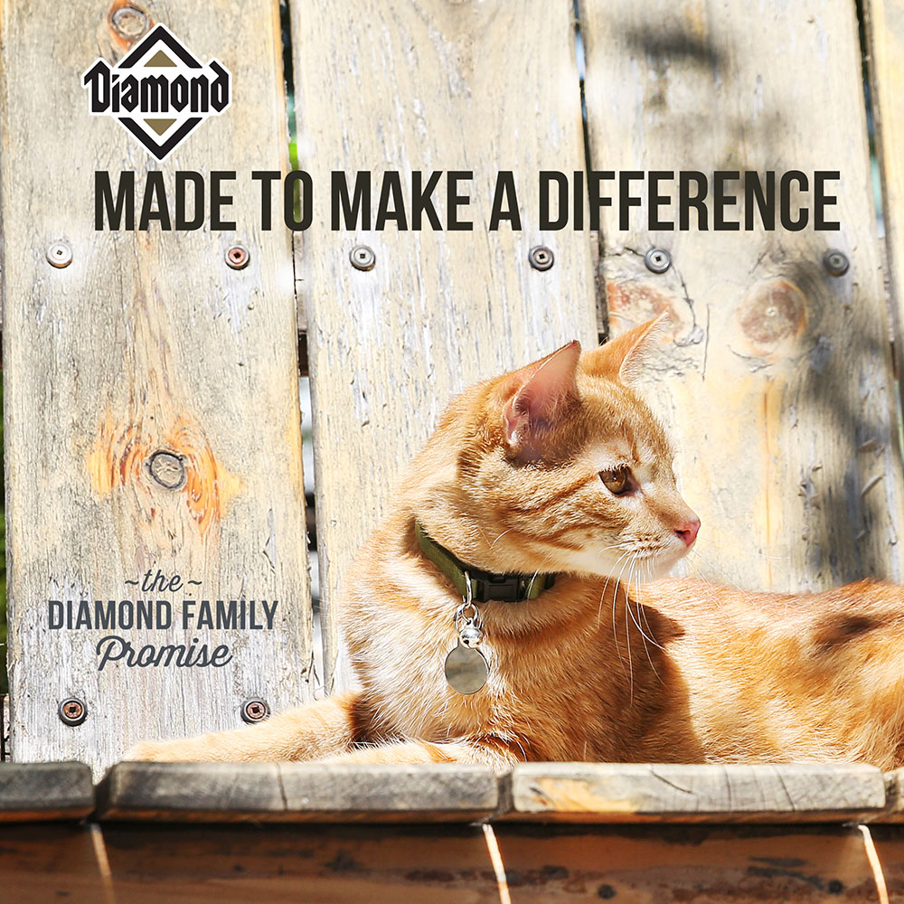 Made to Make a Difference | Diamond Pet Foods