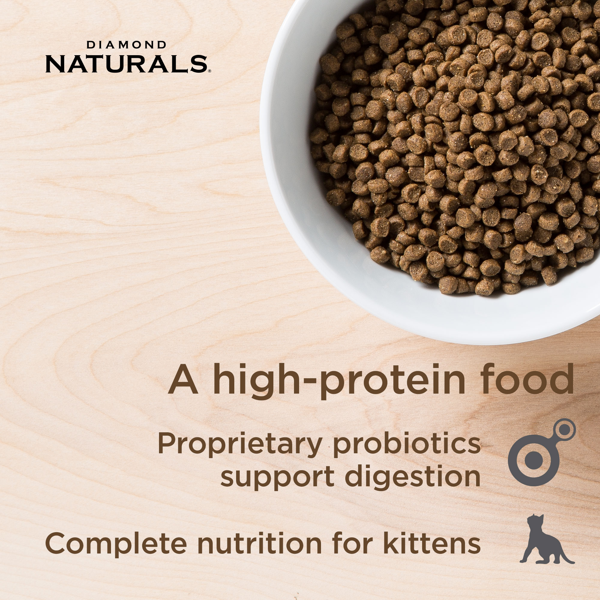 Nutrition for kittens | Diamond Pet Foods