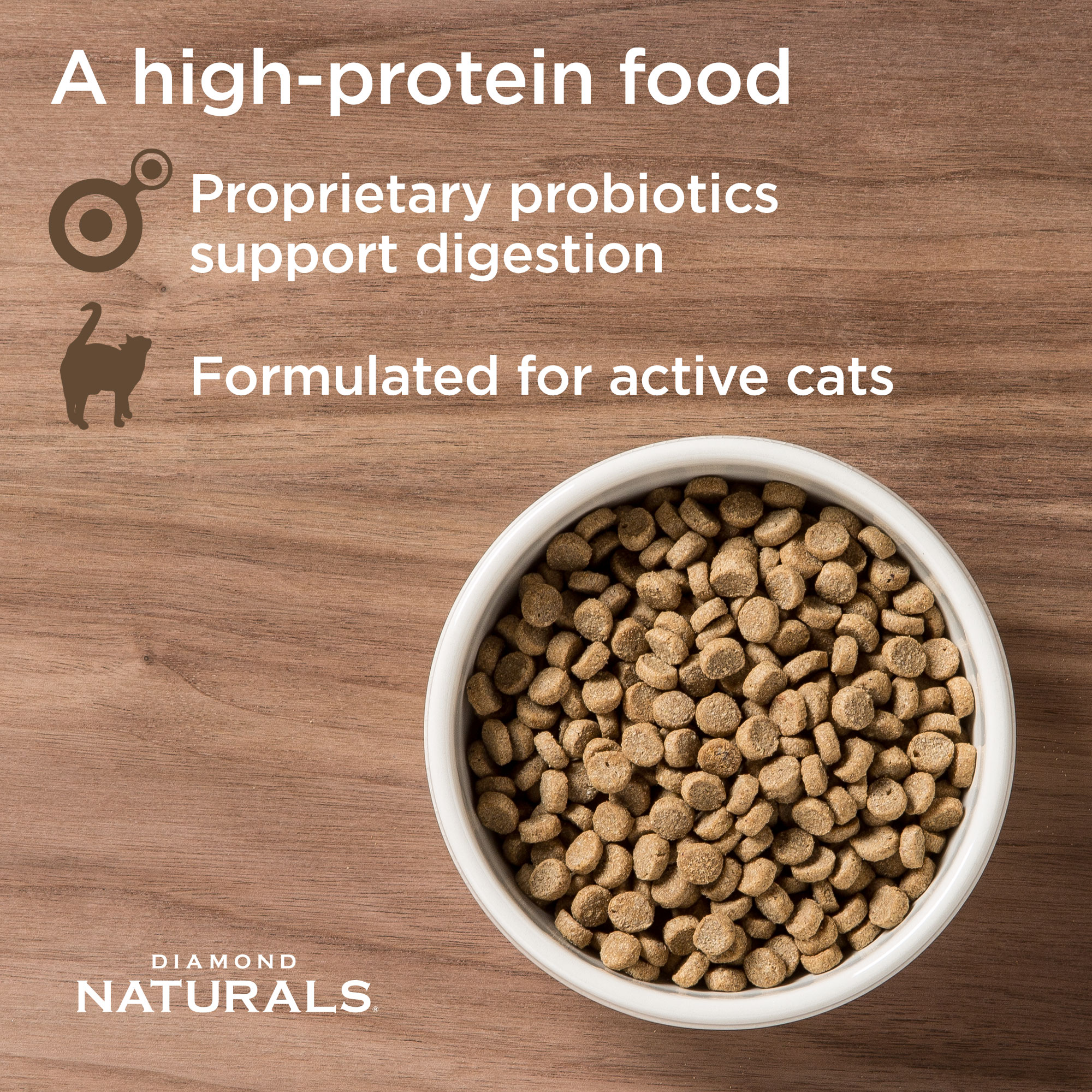 high-protein