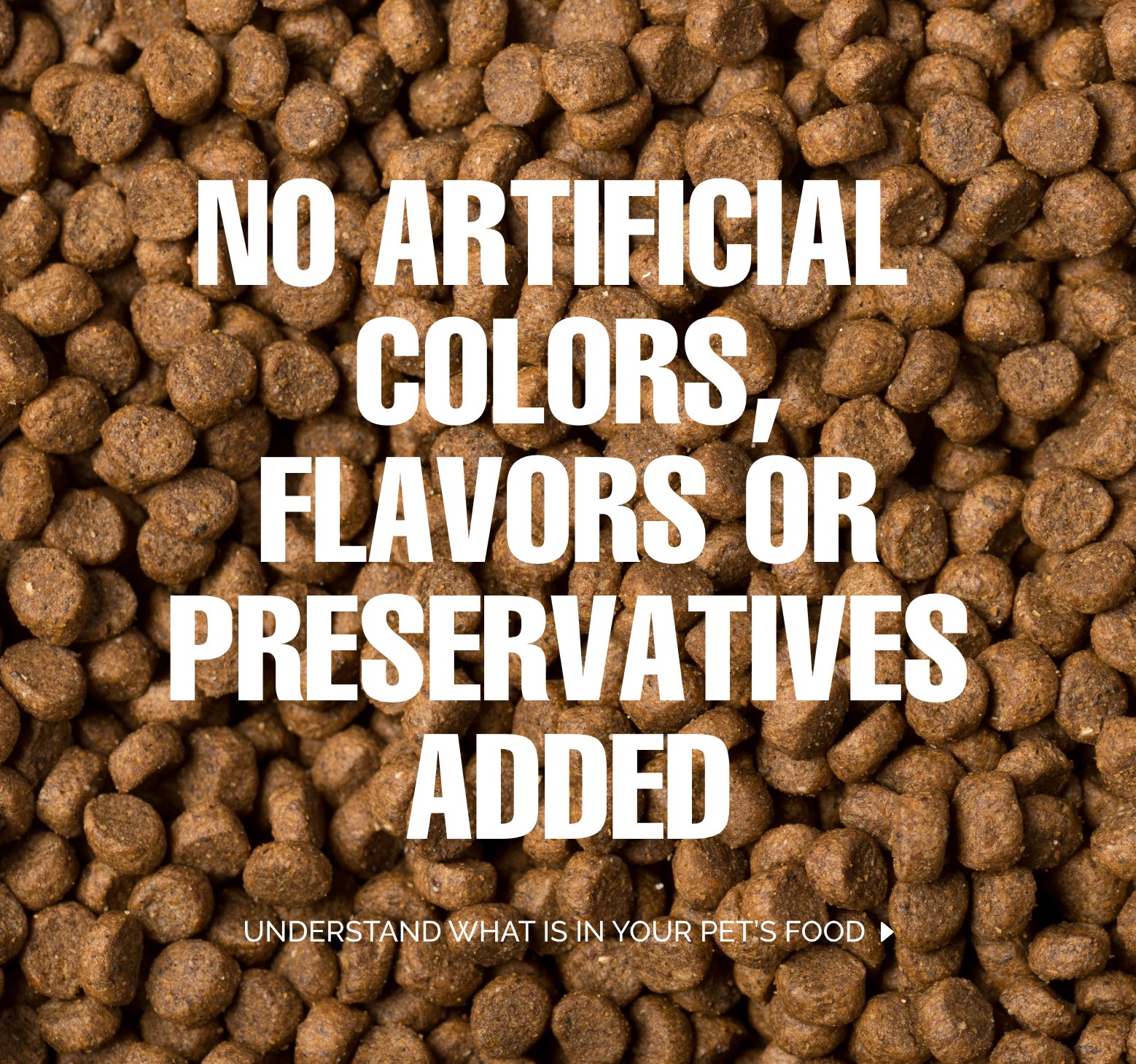 Diamond Pet Foods Quality Dog & Cat Food