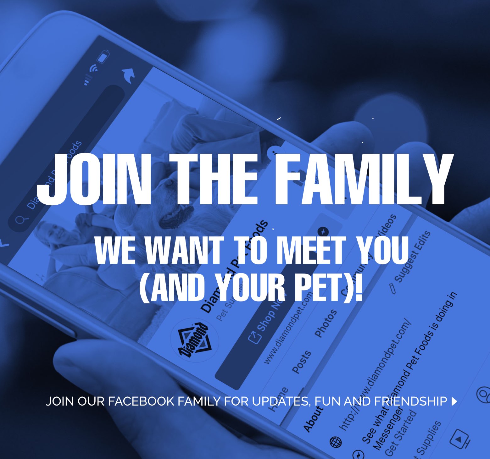 Diamond Pet Foods Quality Dog & Cat Food