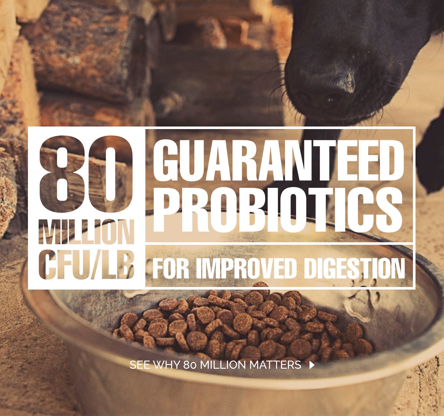 80 Guaranteed Probiotics