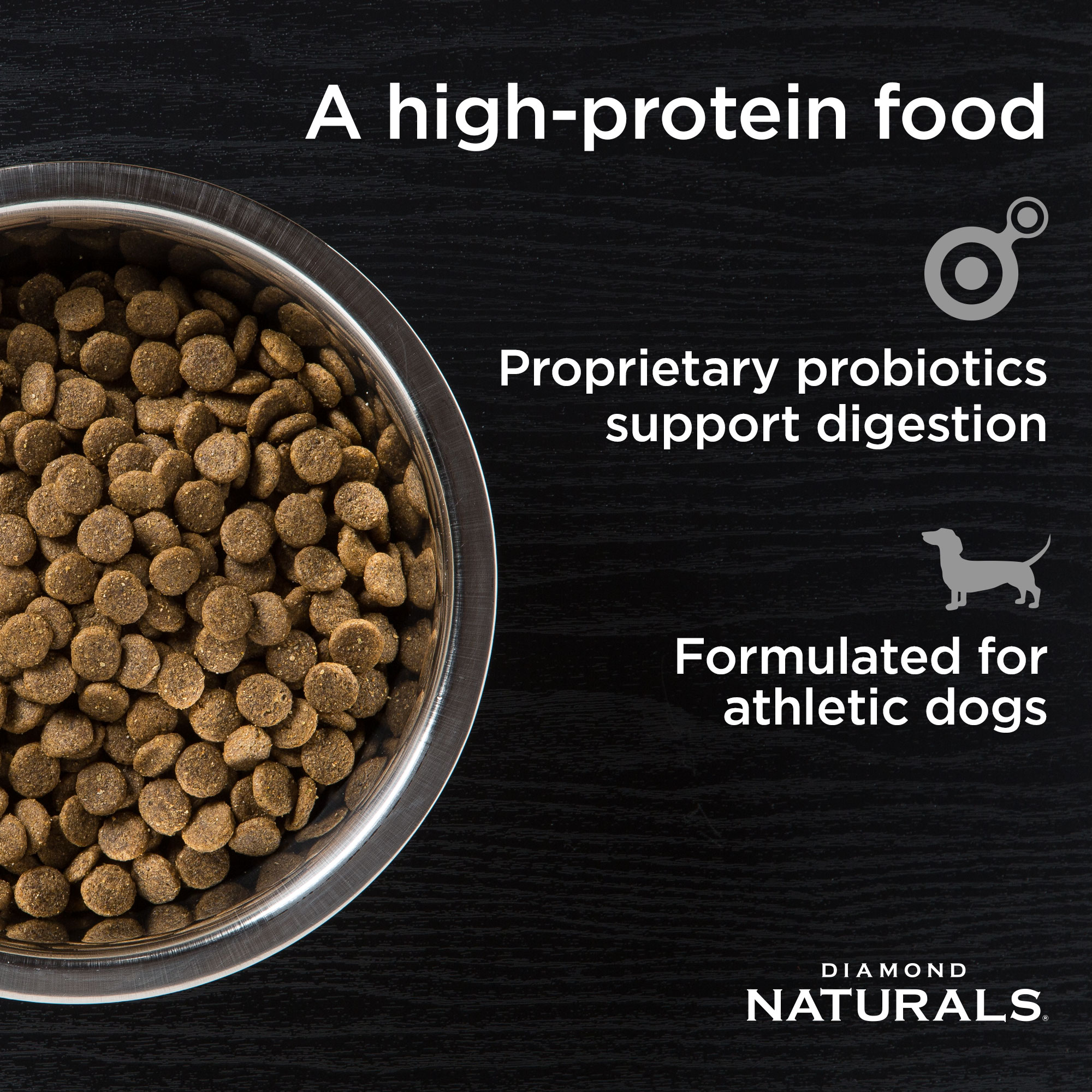 A metal bowl full of Diamond Naturals Extreme Athlete Adult Dog Chicken & Rice Formula kibble.