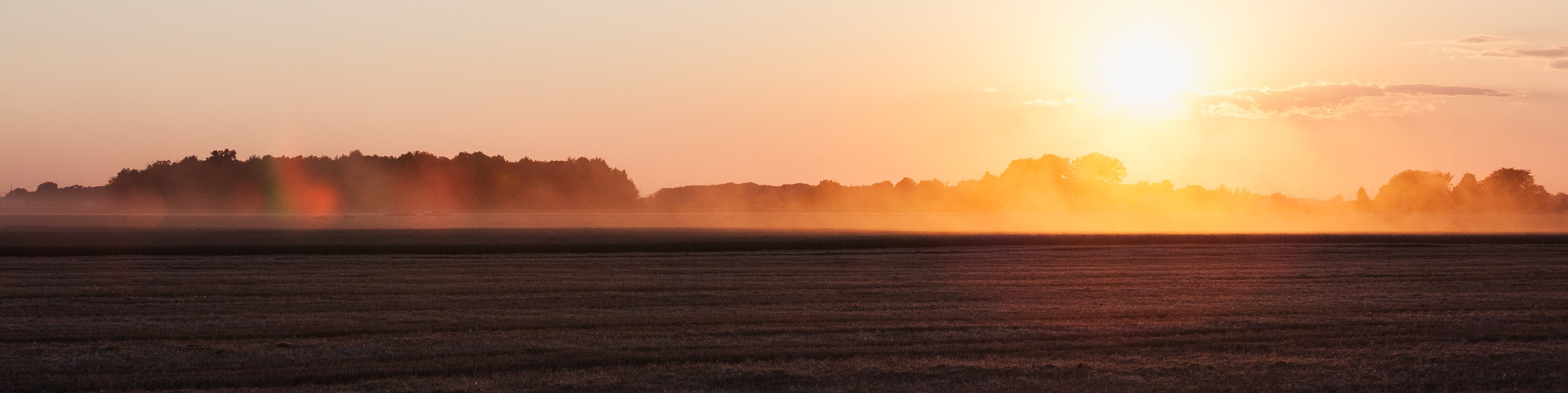 One of Our Pet Food Retailers Diamond Pet Foods