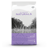 Diamond Naturals Kitten Chicken & Rice Formula front of bag | Diamond Pet Foods