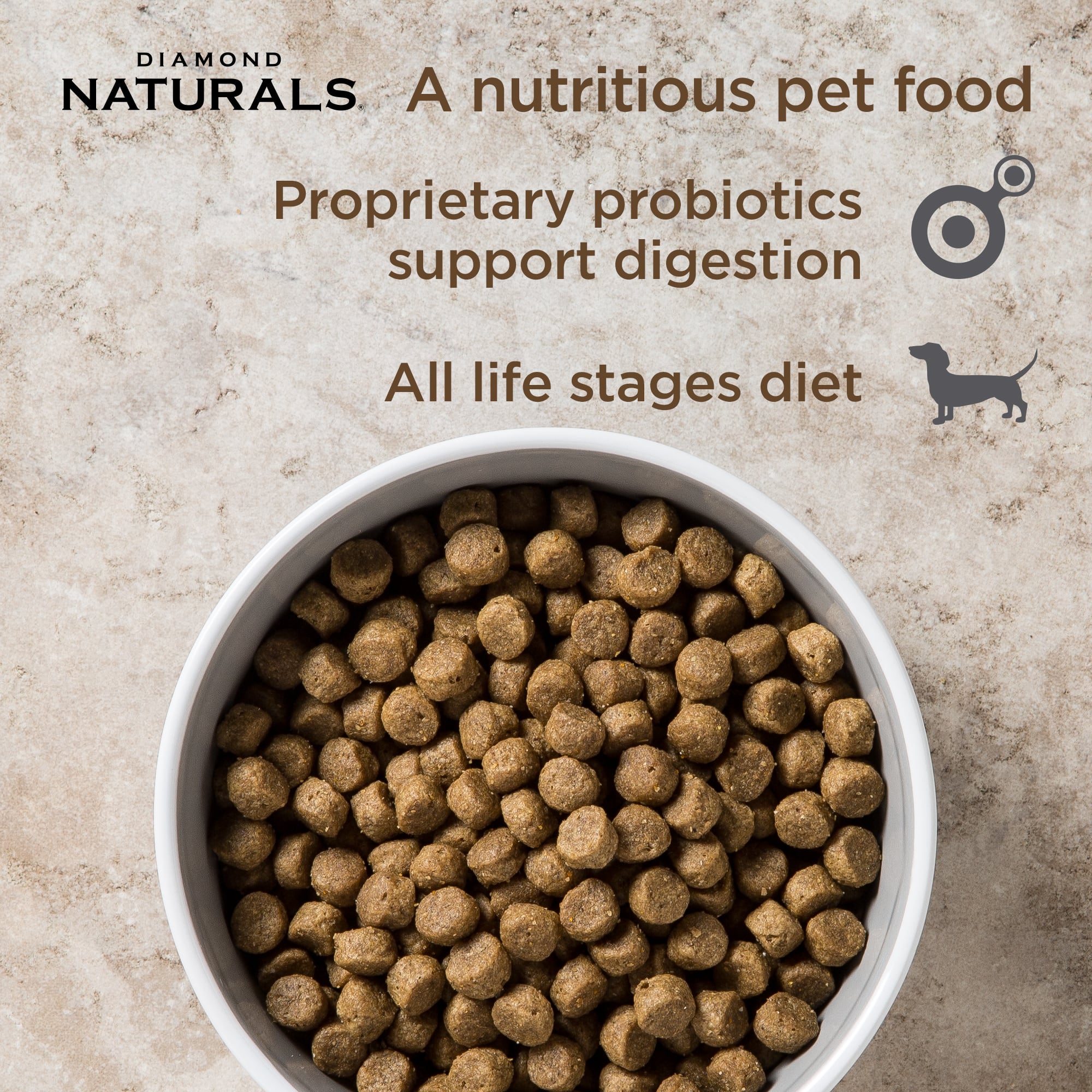 A white ceramic bowl full of Diamond Naturals All Life Stages Dog Chicken & Rice Formula kibble.