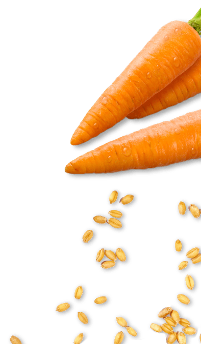 Carrots and Seeds