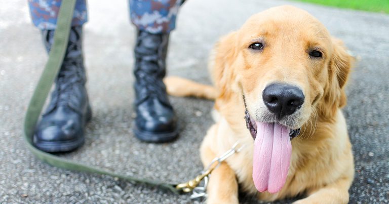 A dog on a leash lying next to its owner in military boots and fatigues.