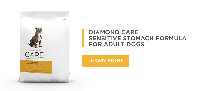 Diamond CARE Sensitive Stomach Formula for Adult Dogs