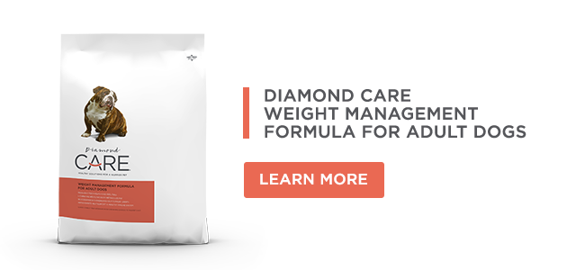 Diamond CARE Weight Management Formula for Adult Dogs