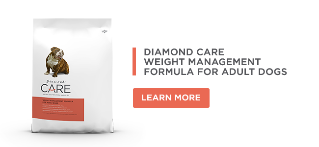 A bag of Diamond CARE Weight Management Formula for Adult Dogs.