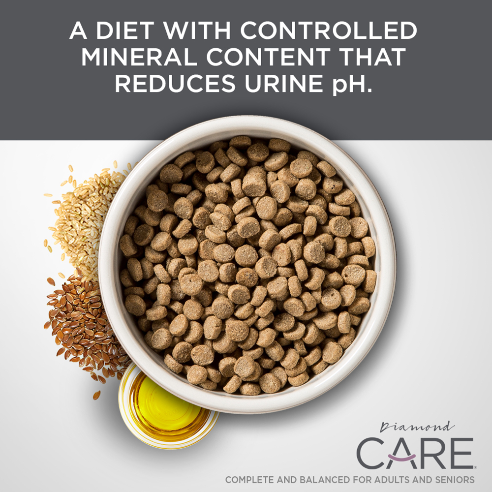 bowl of Urinary Support