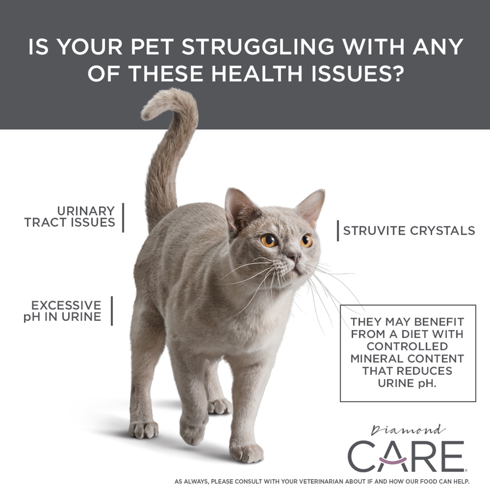 Urinary Support points
