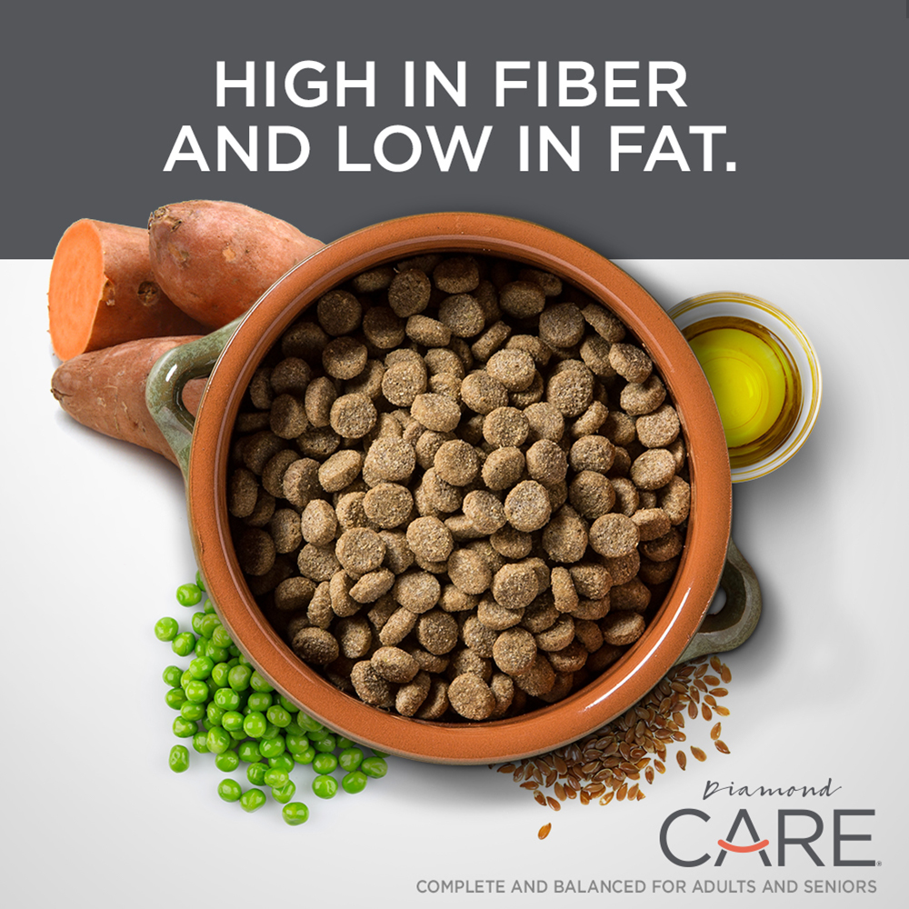 An orange ceramic bowl full of Diamond Care Weight Management Formula for Adult Dogs kibble.