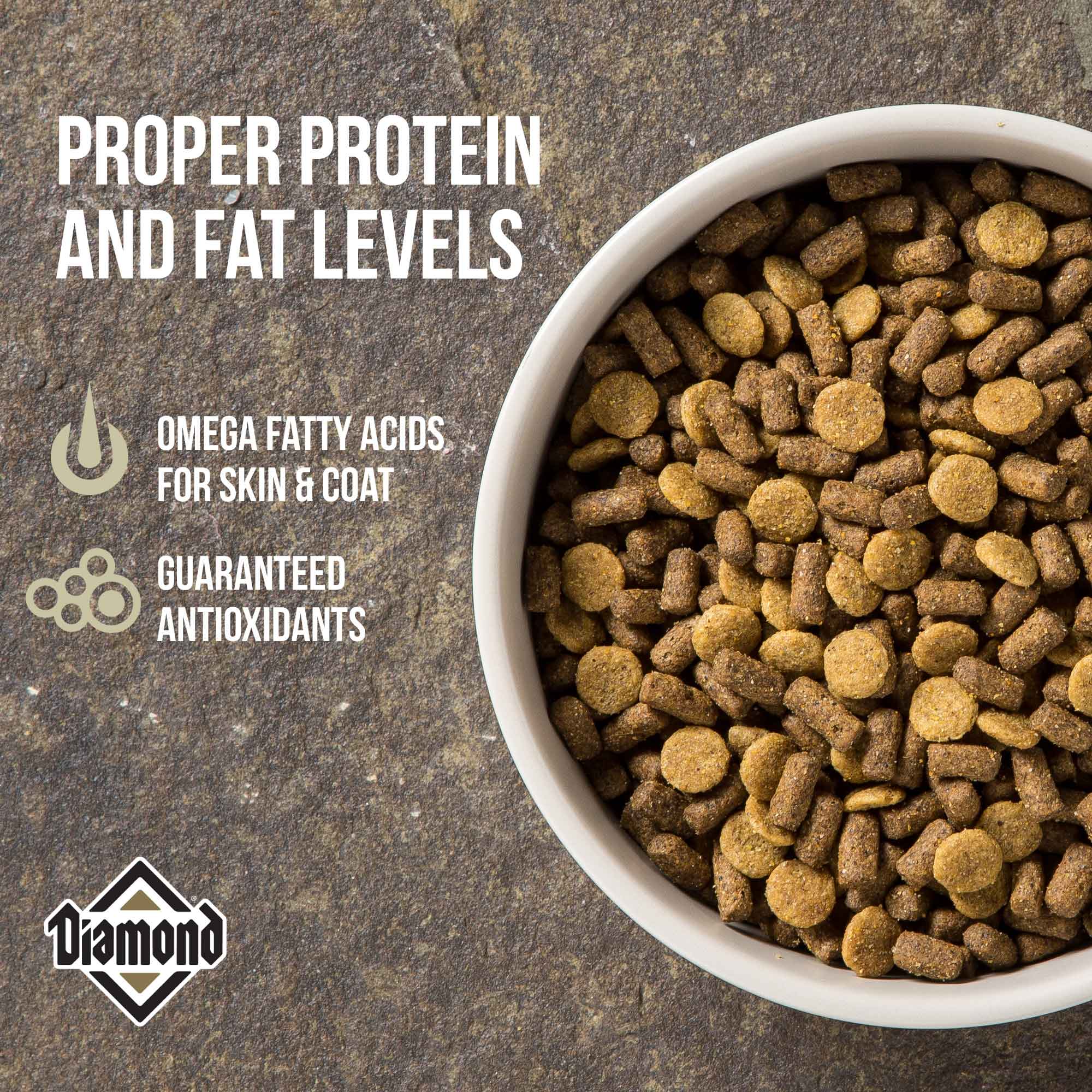 Protein and Fat Levels | Diamond Pet Foods