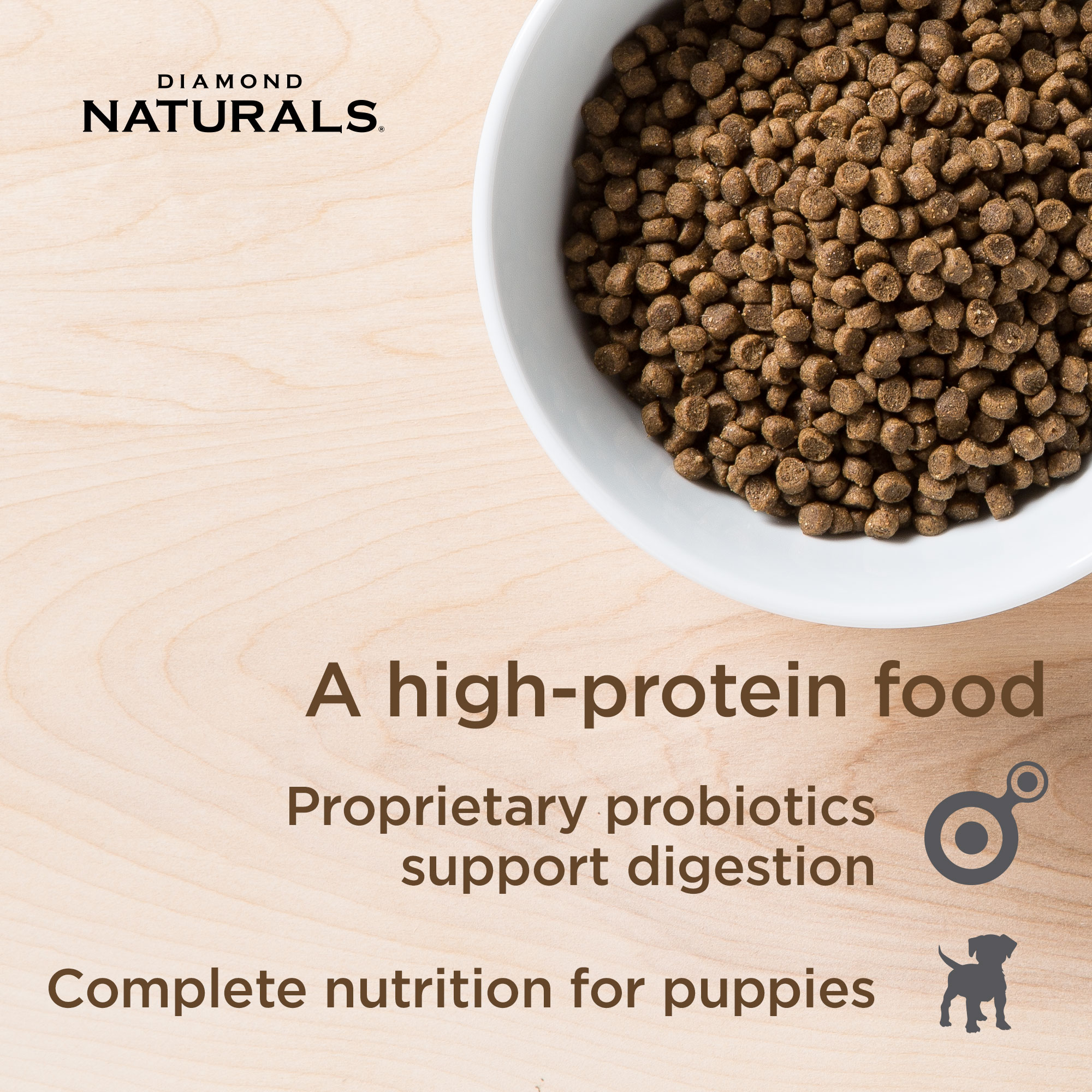 Bowl of Small and Medium Breed Puppy Kibble | Diamond Pet Foods