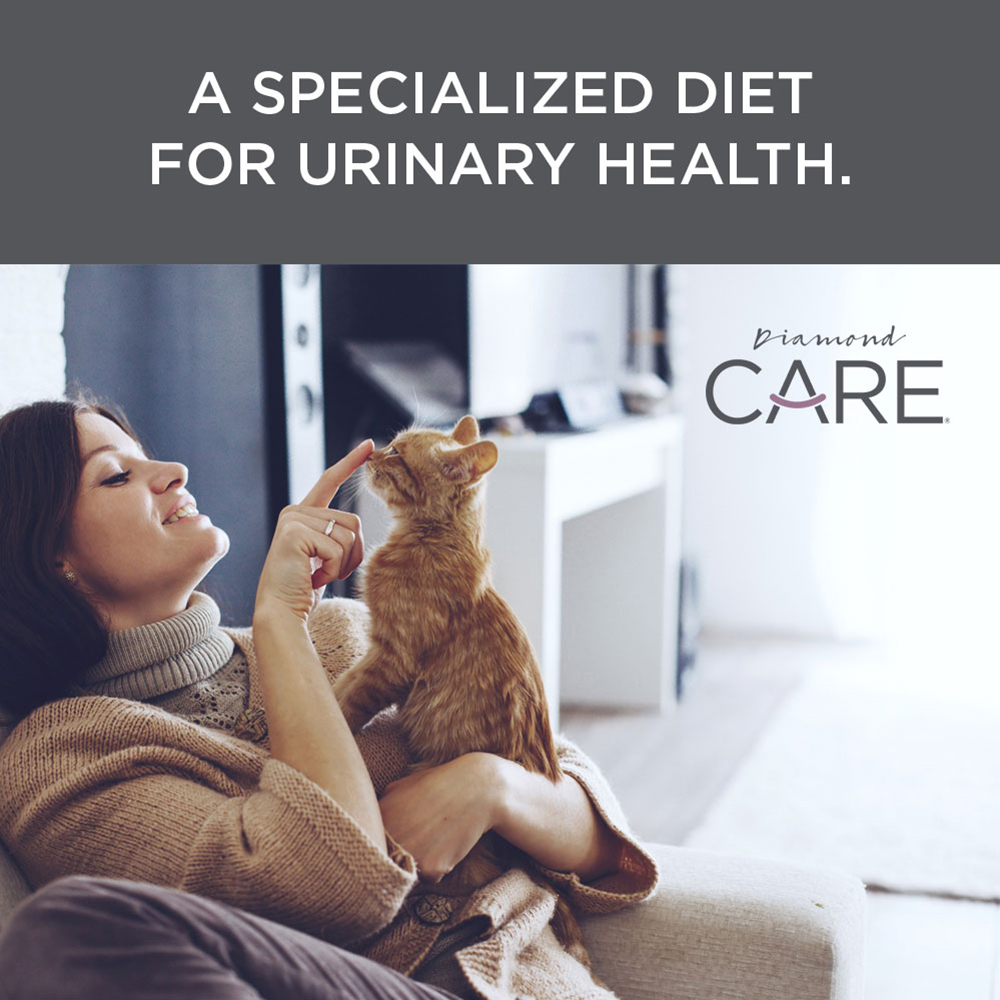 woman holding yellow tabby cat | Diamond CARE