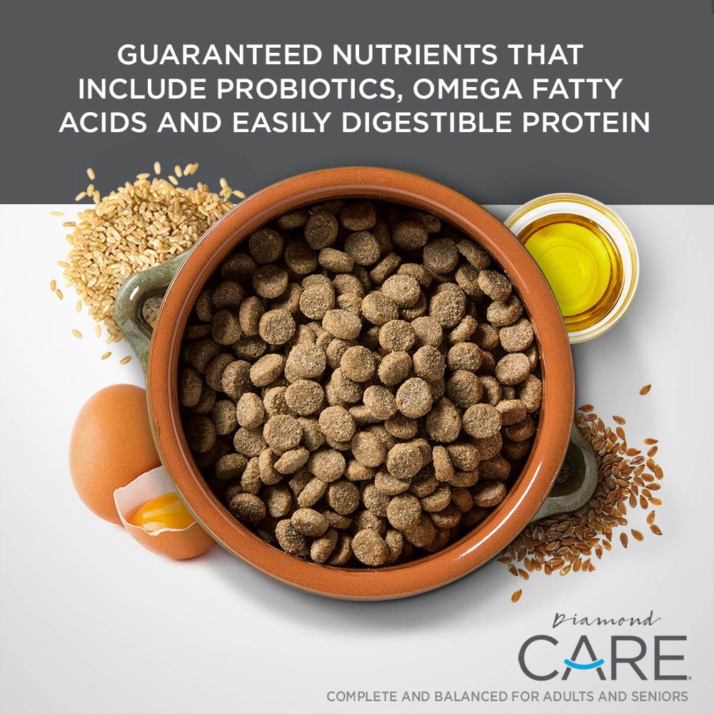 An orange ceramic bowl full of Diamond Care Rx Renal Formula for Adult Dogs kibble.
