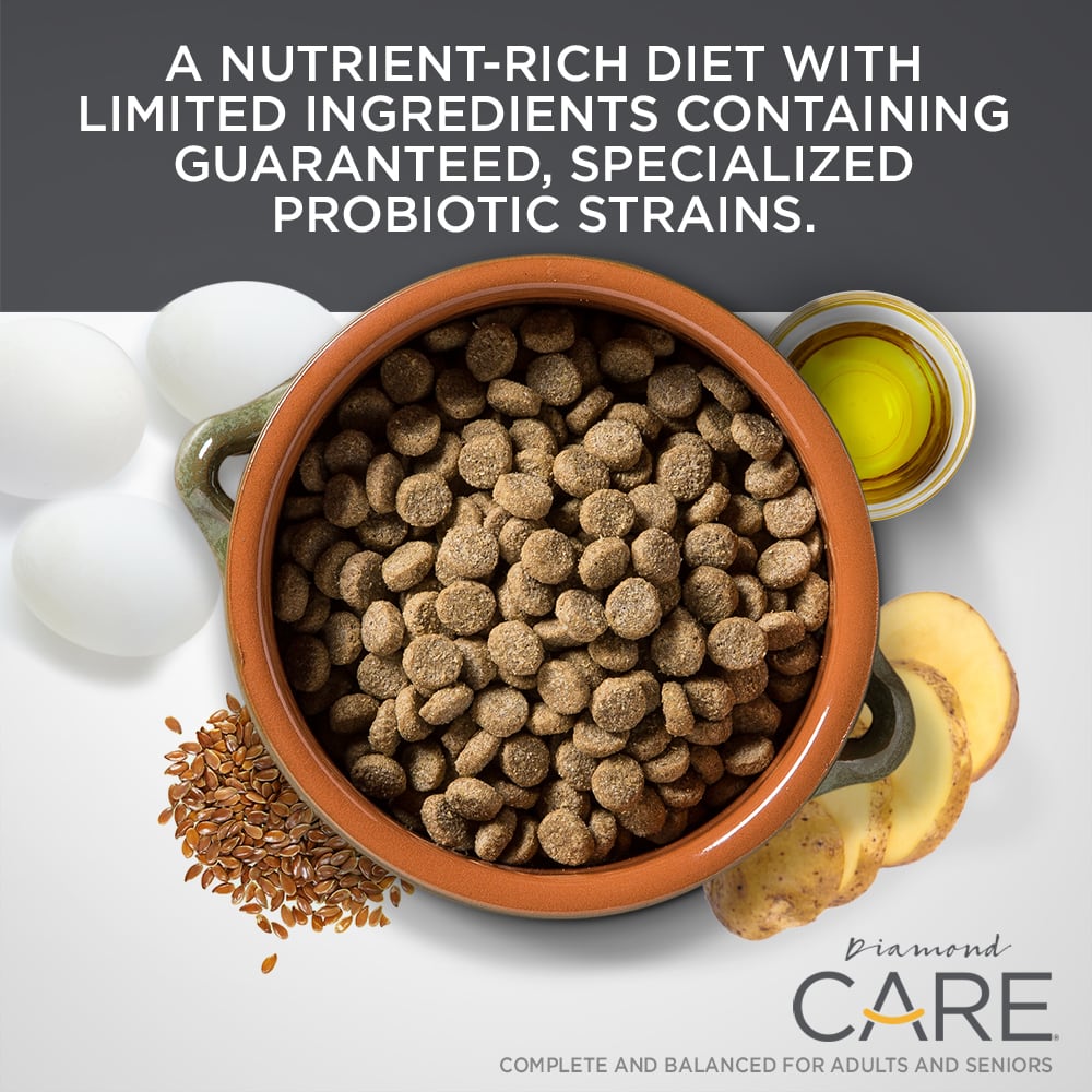 An orange ceramic bowl full of Diamond CARE Sensitive Stomach Formula for adult dogs kibble.