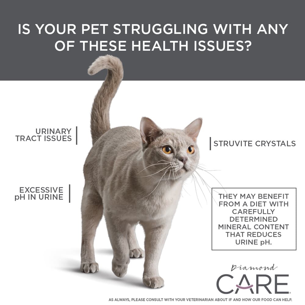 Urinary Support points
