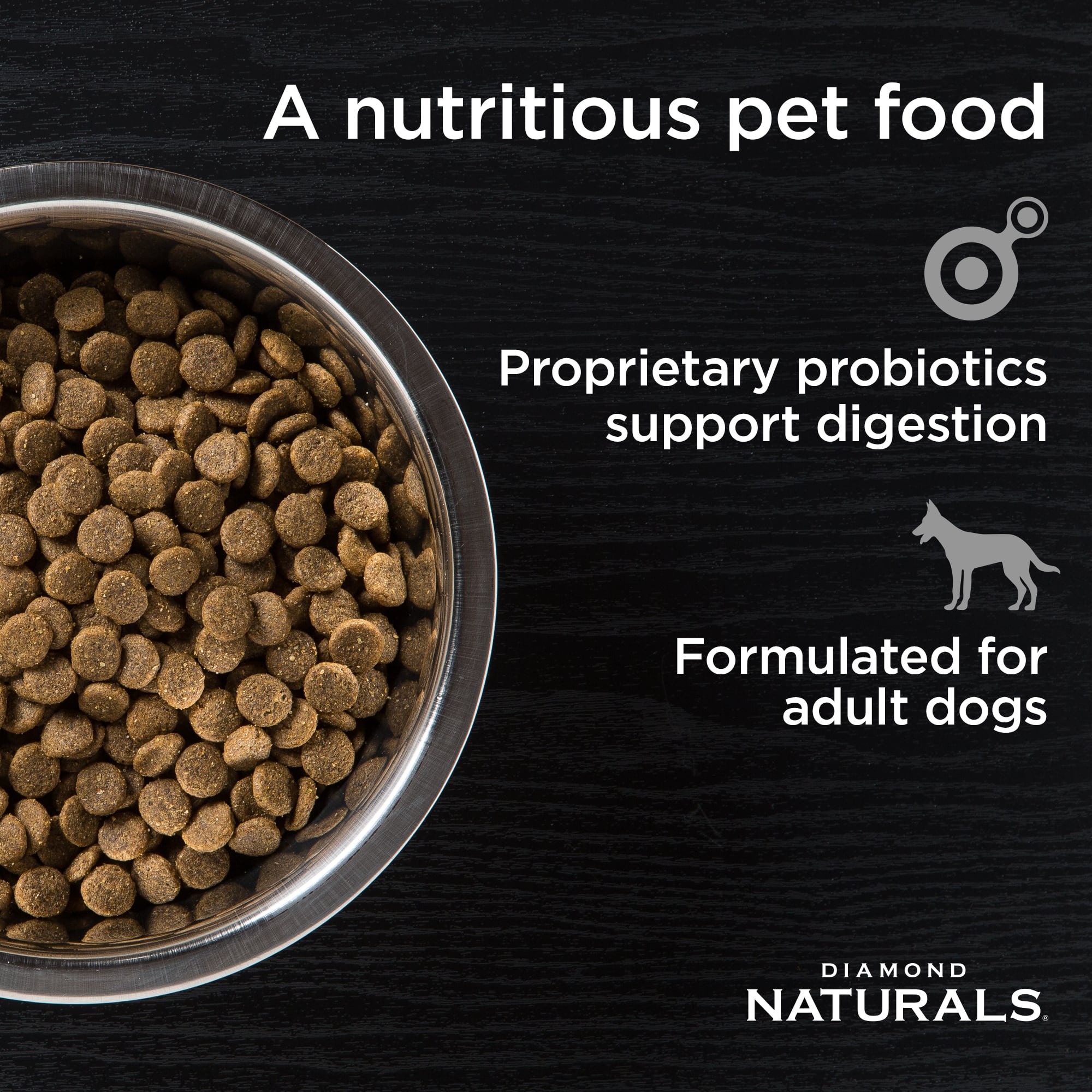 A metal bowl full of Diamond Naturals Adult Dog Beef Meal & Rice Formula kibble.